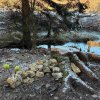 11 b Rund um Ellwangen